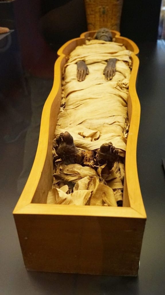 What to See in Vatican City: One-Day Itinerary Featuring 8 Sites 19 Mummy on display in the Gregorian Egyptian Museum at the Vatican Museums, Rome, Italy wrapped in linen and enclosed in a wooden sarcophagus case.