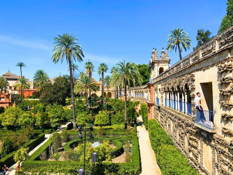 Gardens of the Royal Alcázar of Seville in Spain featuring manicured hedges and palm trees with a stone overlook and historic palace architecture in the background. The lush setting highlights the Moorish-inspired landscape design of the royal residence.
