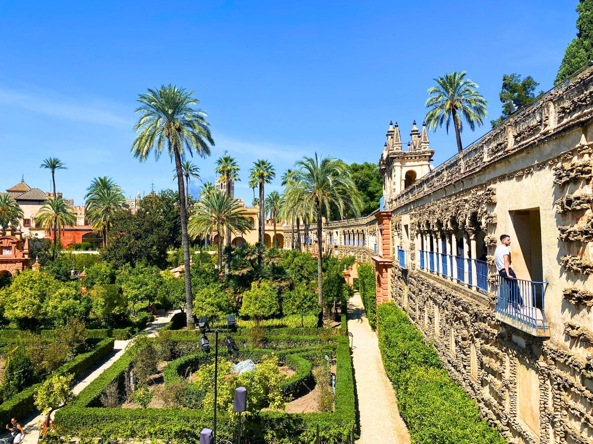 Gardens of the Royal Alcázar of Seville in Spain featuring manicured hedges and palm trees with a stone overlook and historic palace architecture in the background. The lush setting highlights the Moorish-inspired landscape design of the royal residence.