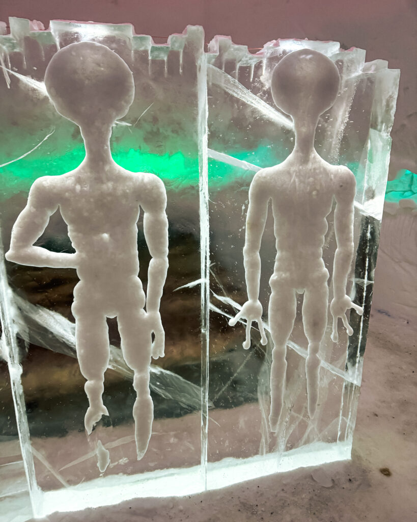 The Best Hotels in Rovaniemi, Finland: Comparing My Glass Igloo Stay with the City Center 24 Luxurious alien-themed room at Arctic SnowHotel & Glass Igloos in Lapland, Finland.