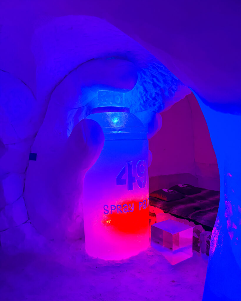 The Best Hotels in Rovaniemi, Finland: Comparing My Glass Igloo Stay with the City Center 49 Spray paint sculpture at Arctic SnowHotel & Glass Igloos in Lapland Finland.