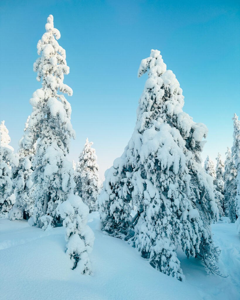 30 of the Best Things to Do in Rovaniemi, Finland, This Winter 28 Rovaniemi Hiking Snowshoe Adventure.