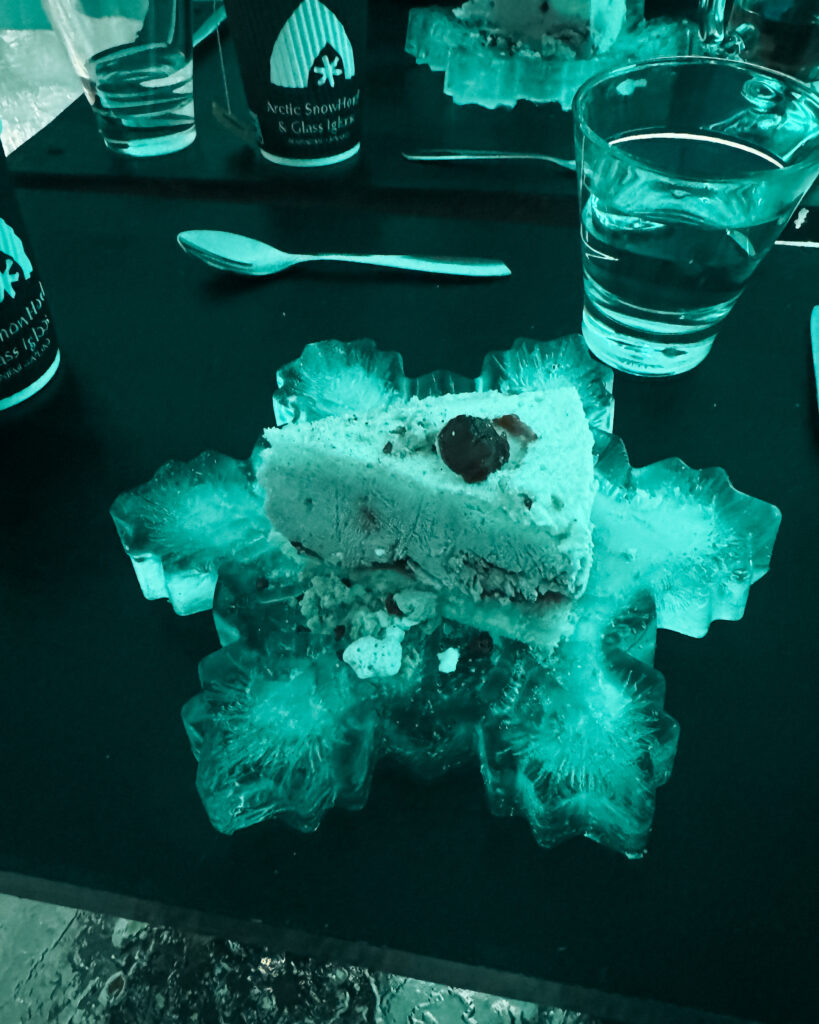 The Best Hotels in Rovaniemi, Finland: Comparing My Glass Igloo Stay with the City Center 35 Arctic snow hotel ice restaurant snowflake dessert.