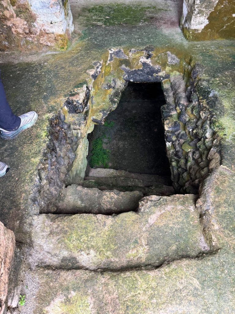 Caracol Ruins in Belize: Why You Shouldn't Drive, but Take a Guided Tour Instead 13 Looking down into an excavated ancient Maya tomb entrance at Caracol archaeological site in Belize, with narrow moss-covered stone steps descending into a dark corbelled chamber below, surrounded by weathered limestone blocks with green algae growth, and a visitor's shoe visible at the edge.