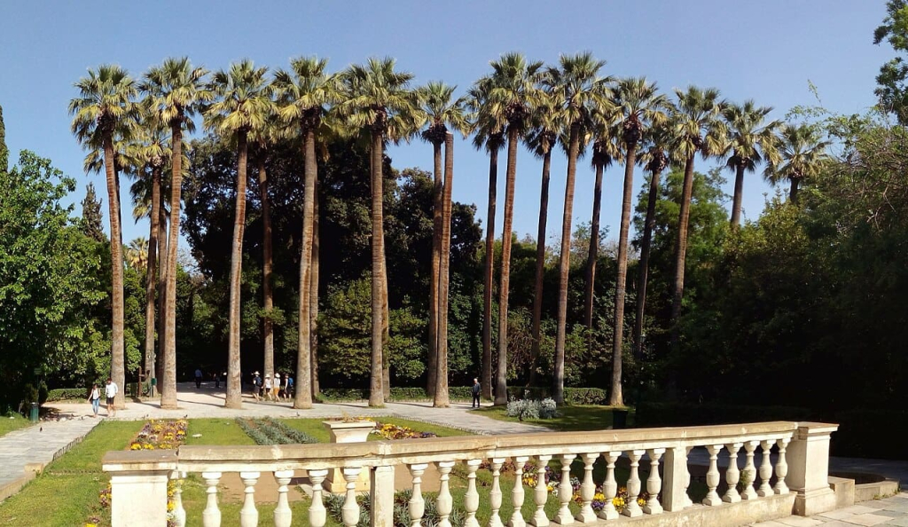 29 Top Things to Do in Athens, Greece: The Best Sites to Visit on a Budget 36 tall washingtonia palms national garden athens