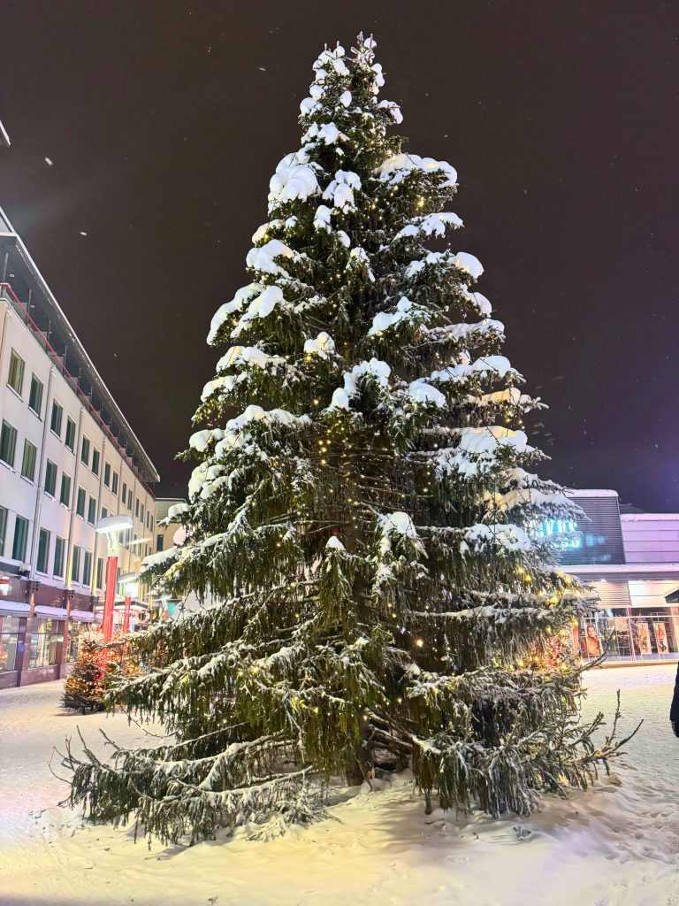 30 of the Best Things to Do in Rovaniemi, Finland, This Winter 70 christmas tree rovanieni