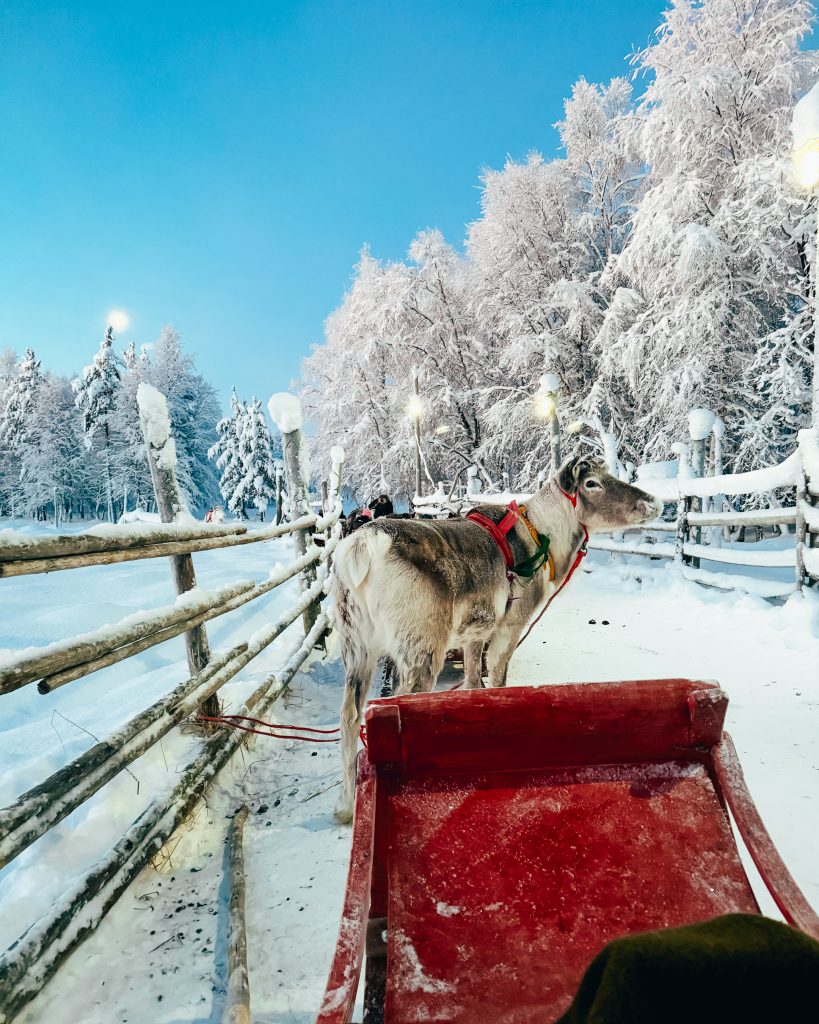 30 of the Best Things to Do in Rovaniemi, Finland, This Winter 3 reindeer sleigh ride