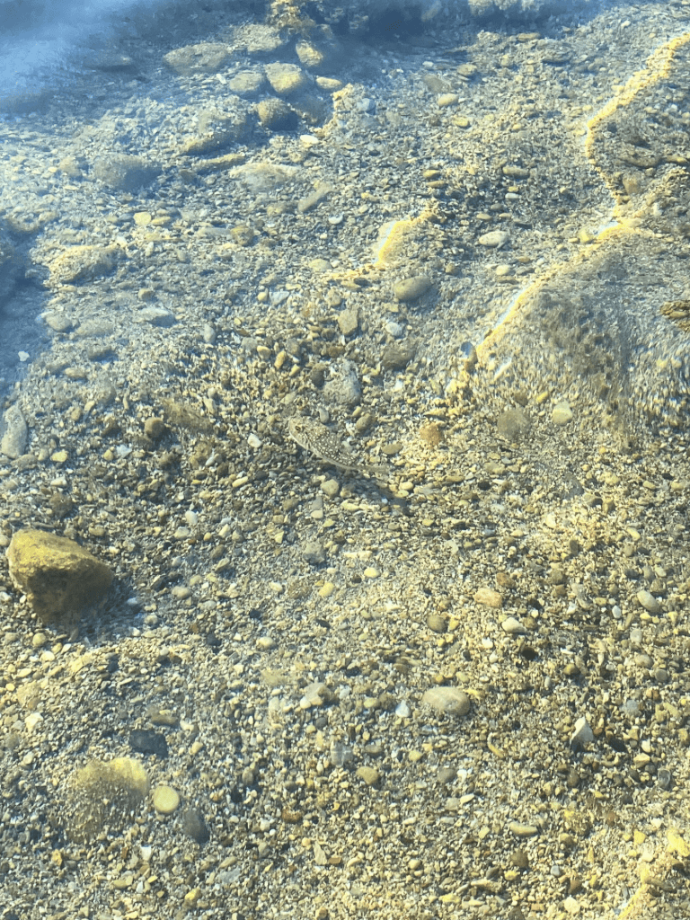 How to Spend a Day in Rhodes, Greece: Old Town and Beach Itineraries 25 fish sand anthony quinn bay rhodes