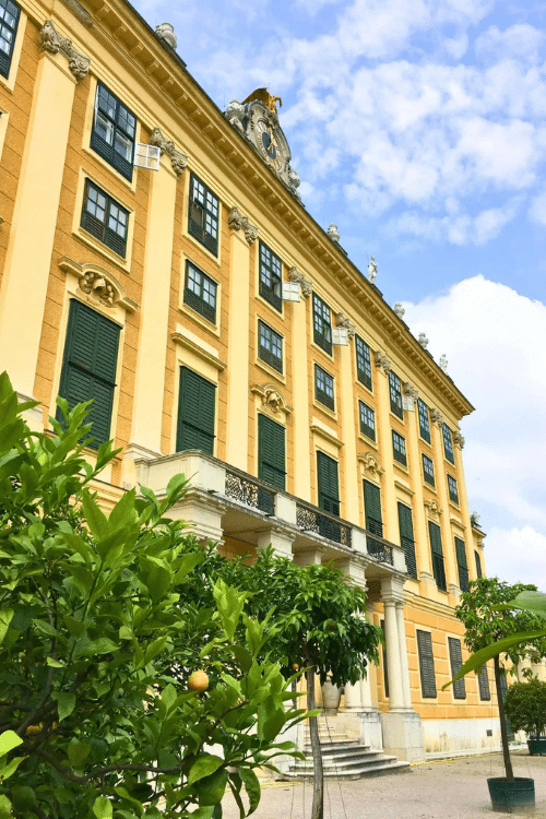 Exterior of Schönbrunn Palace in Vienna, Austria, with its yellow Baroque façade and lush green lemon trees below under a blue sky.