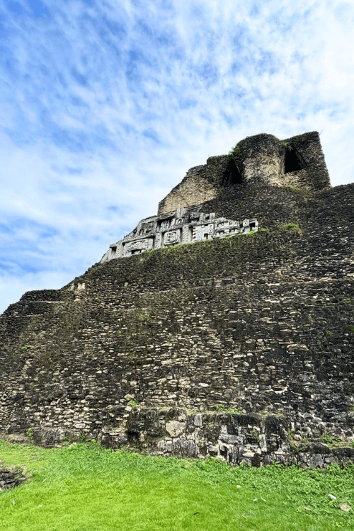 Low-angle view looking up at El Castillo, the imposing dark stone pyramid at Xunantunich Maya ruins near San Ignacio Belize. Intricate carved stone friezes depicting Maya deities are visible near the partially ruined summit. Lush green grass covers the foreground terrace and vegetation edges the stepped stone walls under a bright blue sky with wispy white clouds.